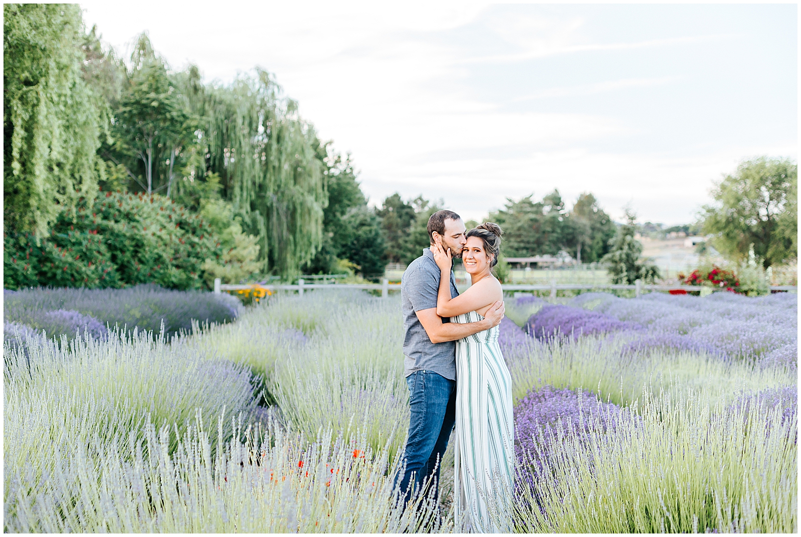 Boise Lavender Field Engagements