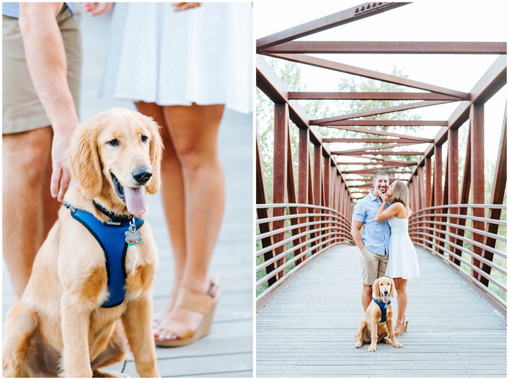Summer Engagement with Golden Retriever Puppy