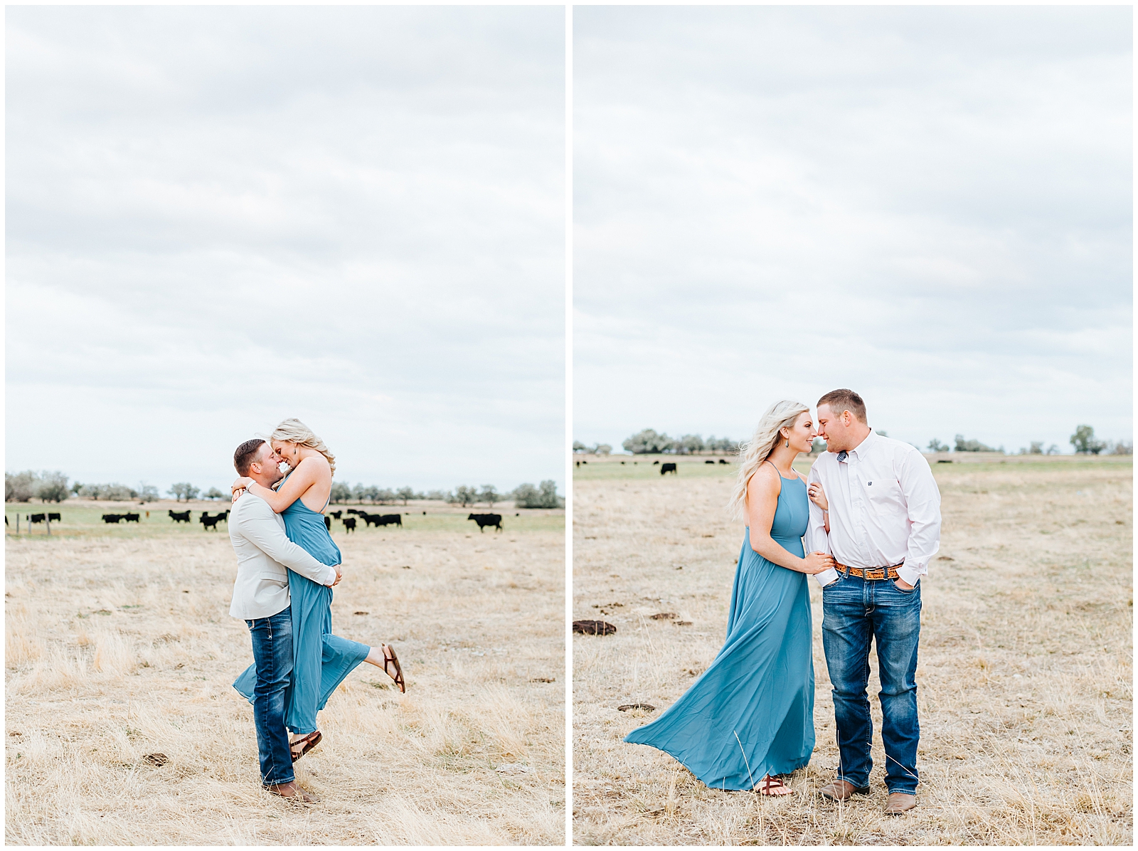 Engagement Photos with Cows
