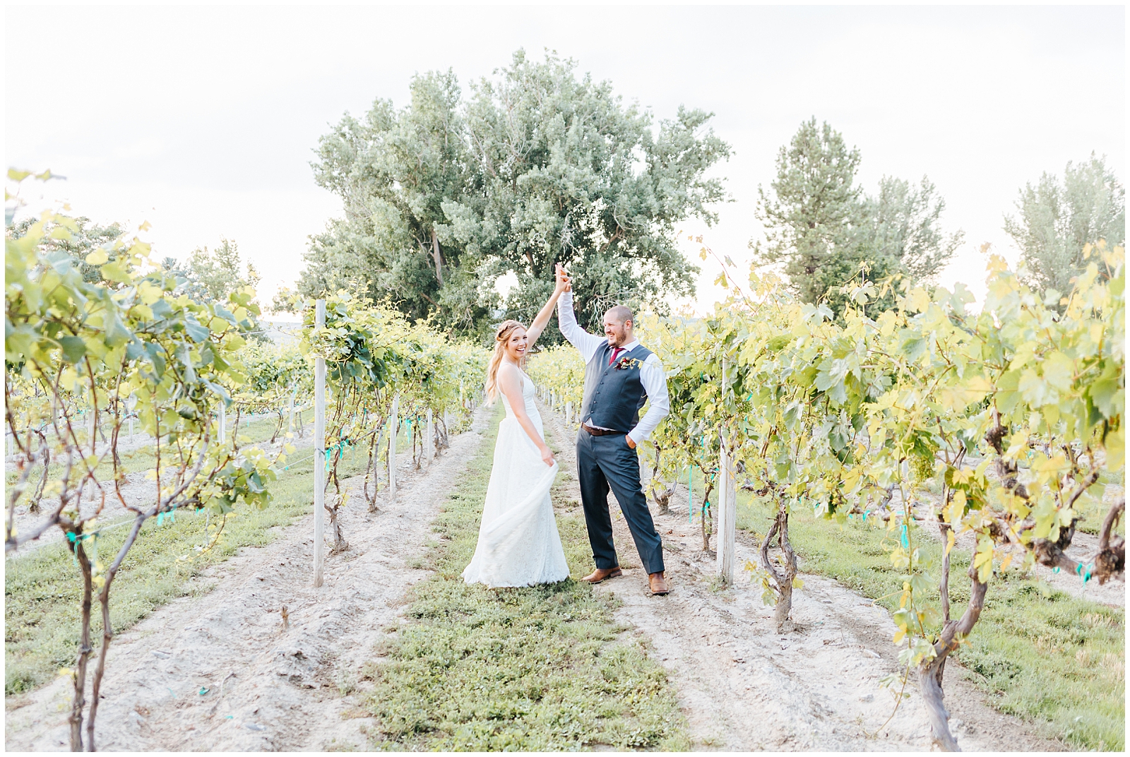 Husband and Wife Twirling in the vineyards at golden hour at Fox Canyon Vineyards Wedding