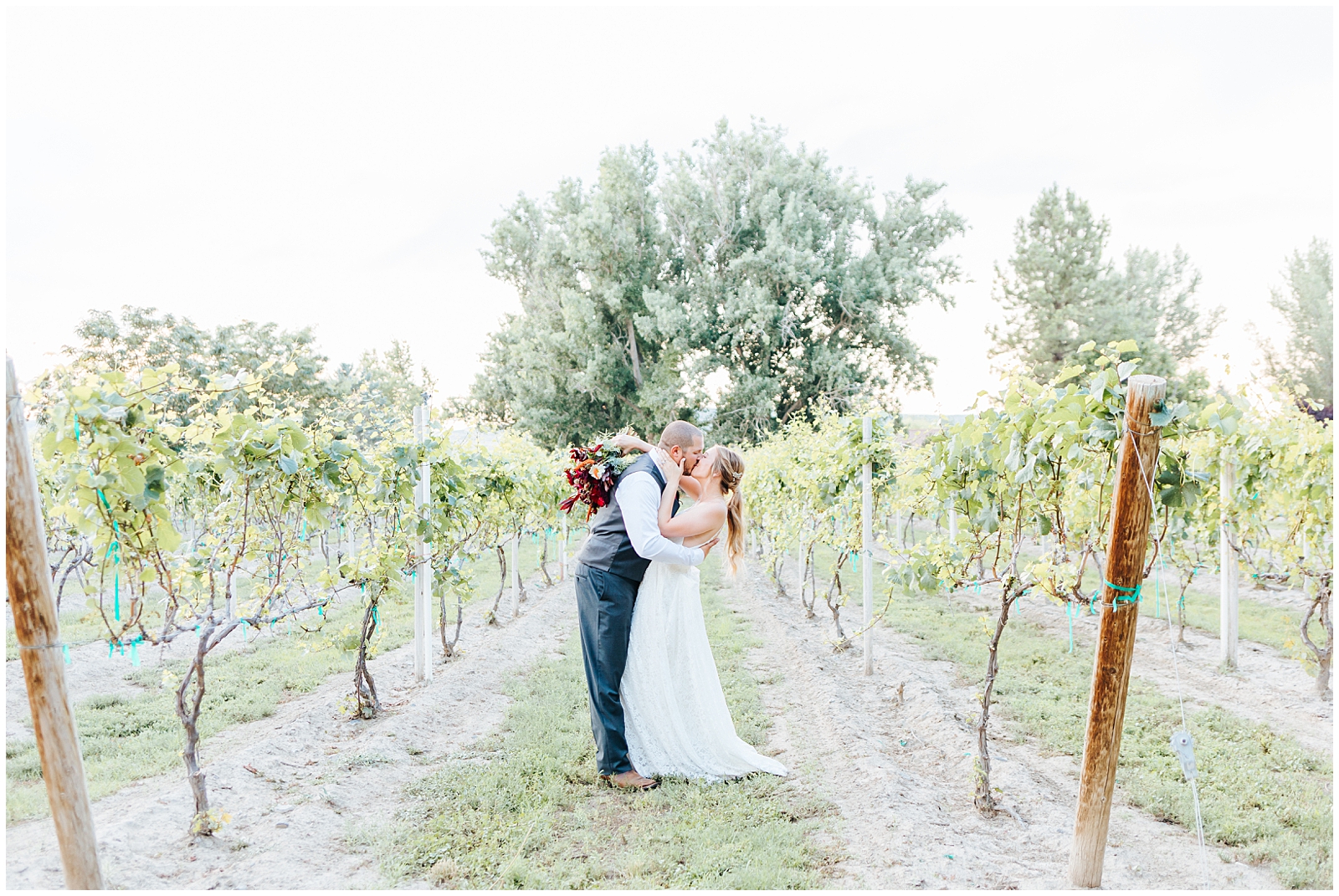 Husband and Wife kissing at Golden Hour at Fox Canyon Vineyards Wedding