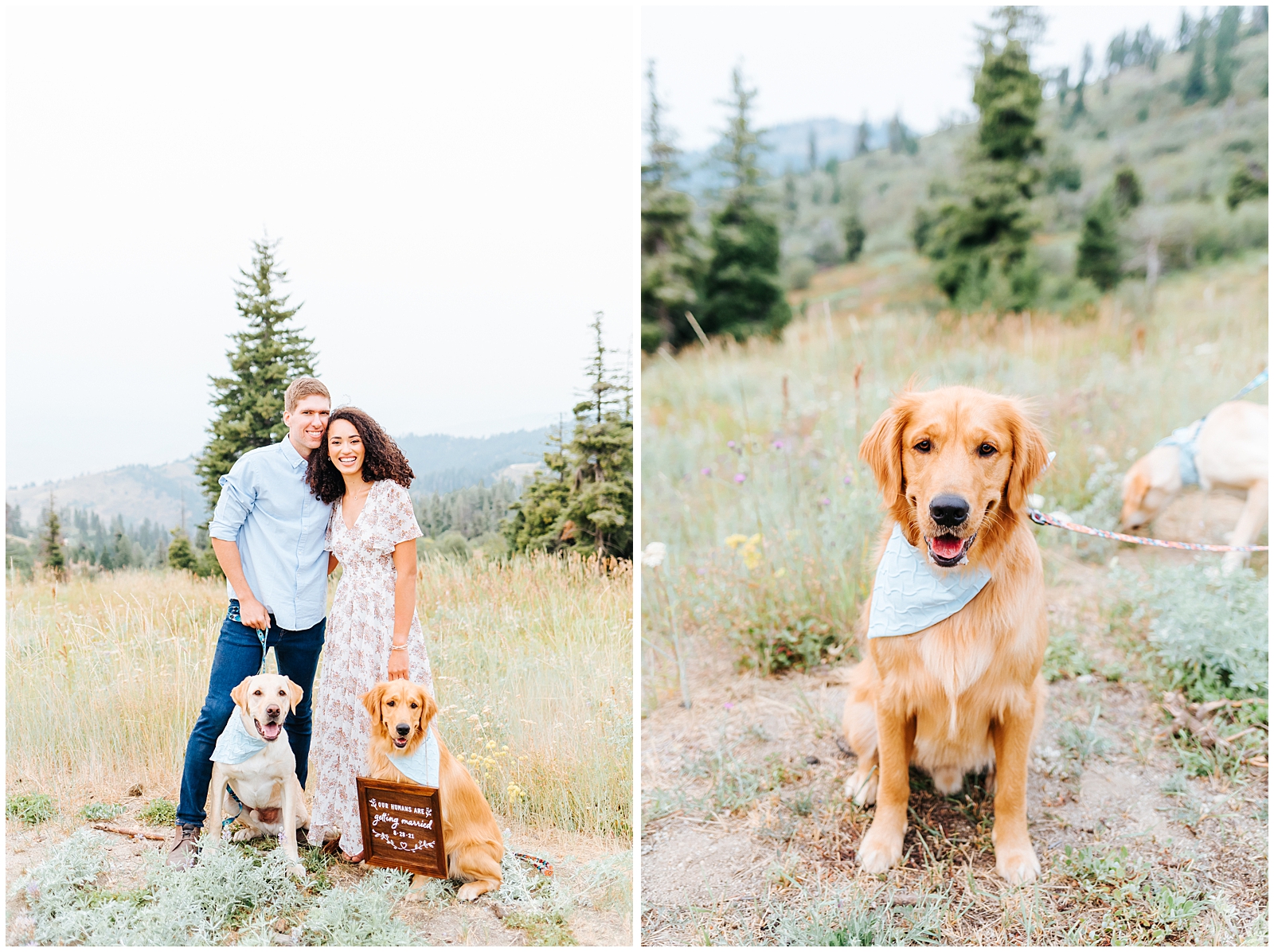Bogus Basin Summer Engagement with Dogs - Our Humans are Getting Married
