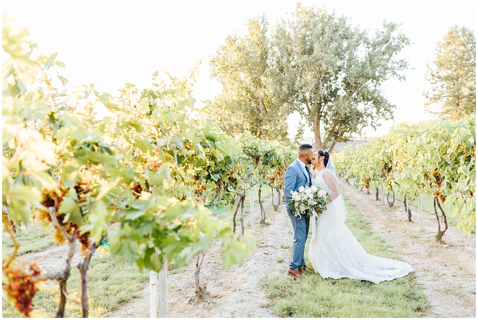 Golden Hour Portraits of the Bride and Groom in the Vineyards