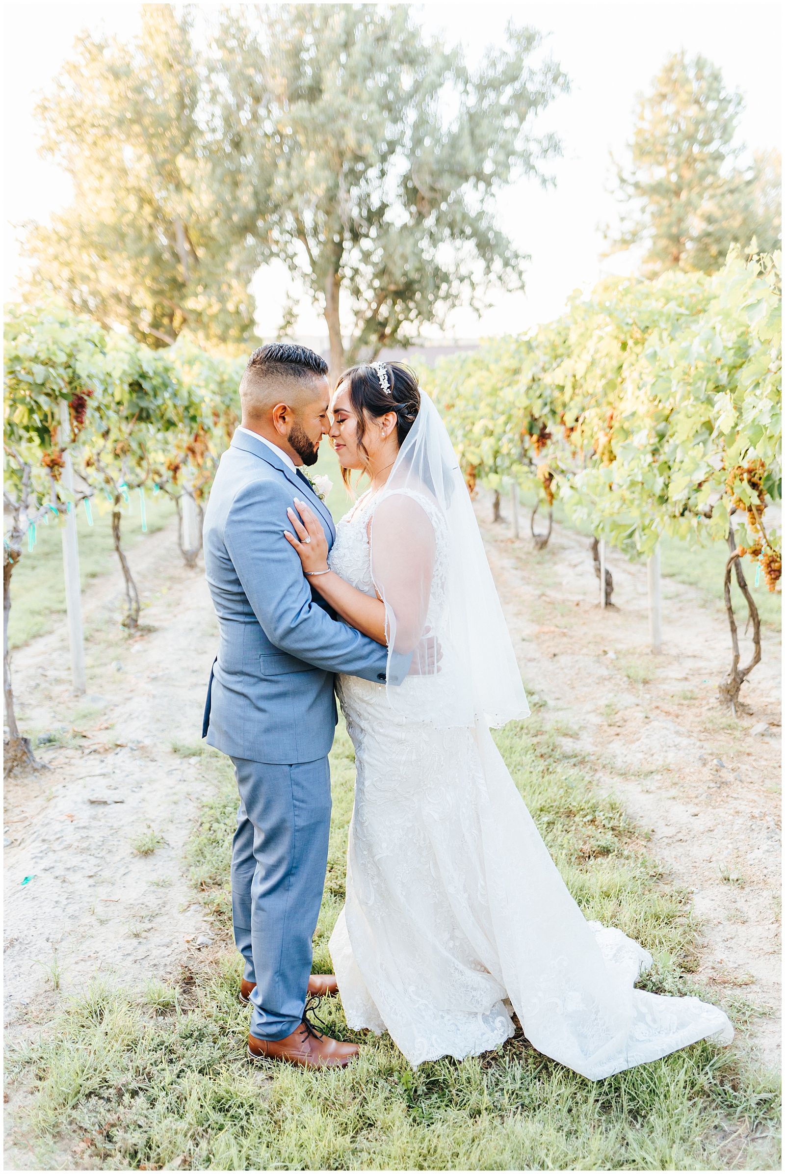 Dusty Blue Fox Canyon Vineyards Wedding Portraits of the Bride and Groom at Golden Hour