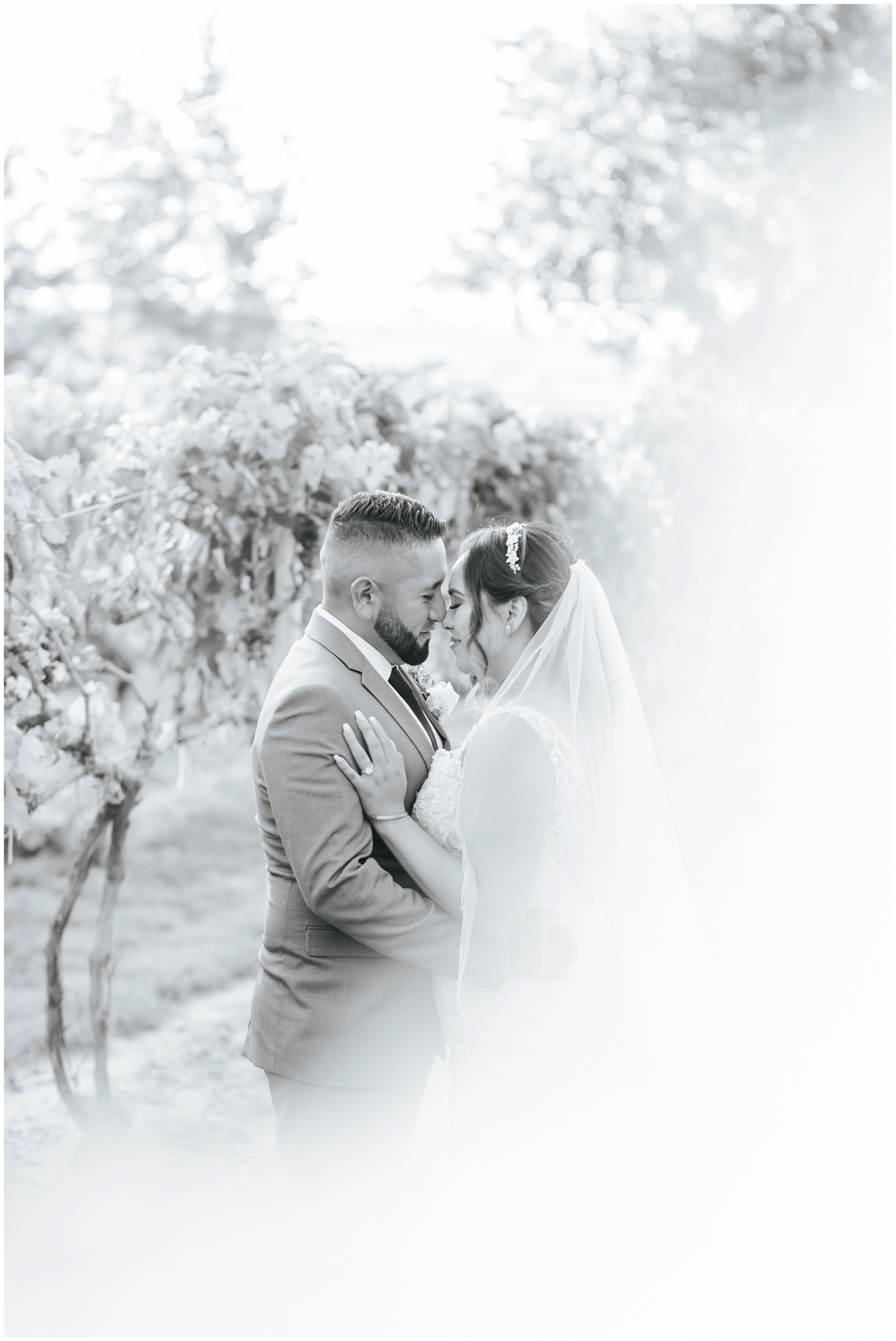 Black and White Bride and Groom Portraits at summer Vineyard Wedding