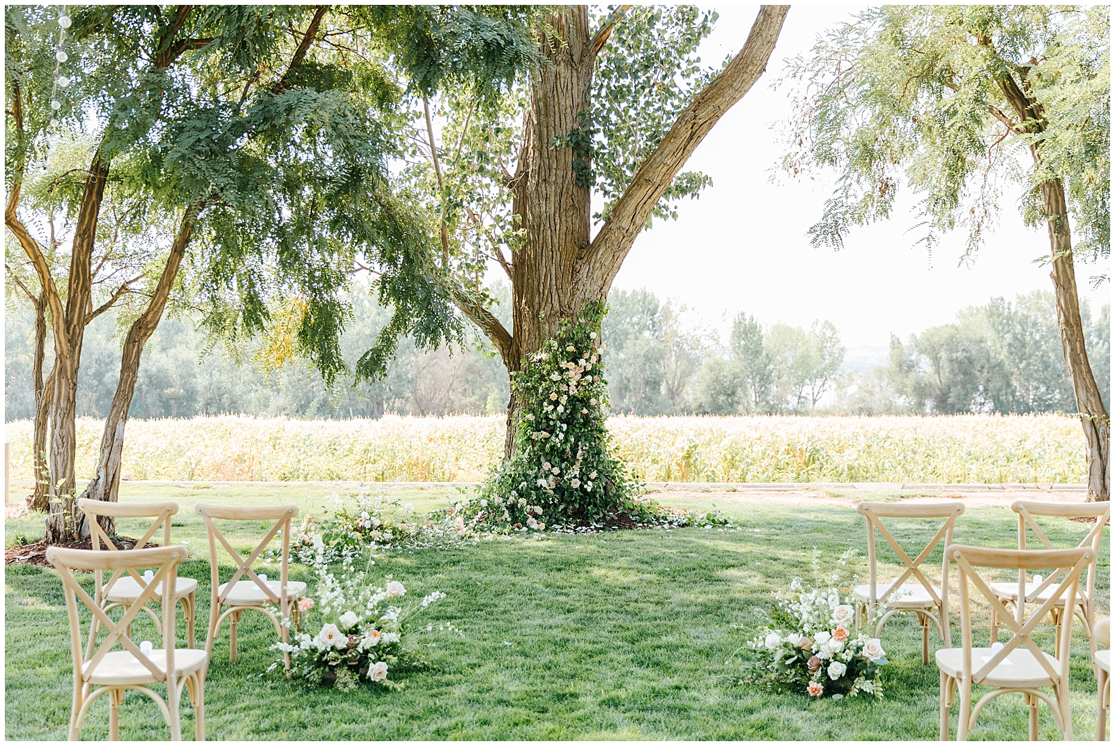 Ethereal Floral Trailing up the tree at Romantic Deer Flat Ranch Wedding